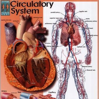 MainExpressWay's profile picture. 