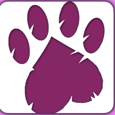 South Florida Dog Rescue https://t.co/vRgEot9SGF  https://t.co/eAd5Djz8hi