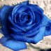 Toto waliyudin (@waliyudintoto) Twitter profile photo Toto waliyudin (@waliyudintoto) Twitter profile photo