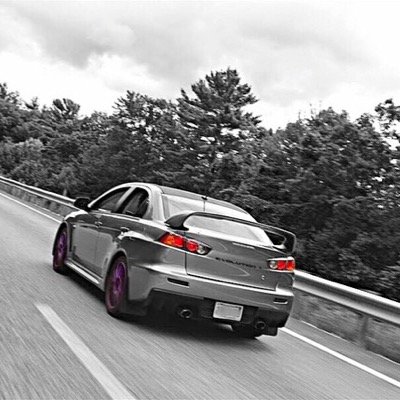 I work in IT to support my dogs and fund my habits (Evo owner, motorsport & rally enthusiast, snowboarder and occasional traveler).