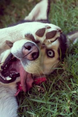 KarellySuarez's profile picture. 