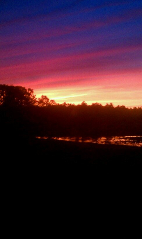 elcarnicero99's profile picture. 