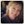 Amy Janowski (@AmyJ1229) profile picture