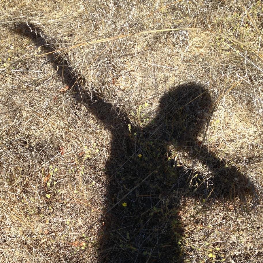 oaklandancer's profile picture. 