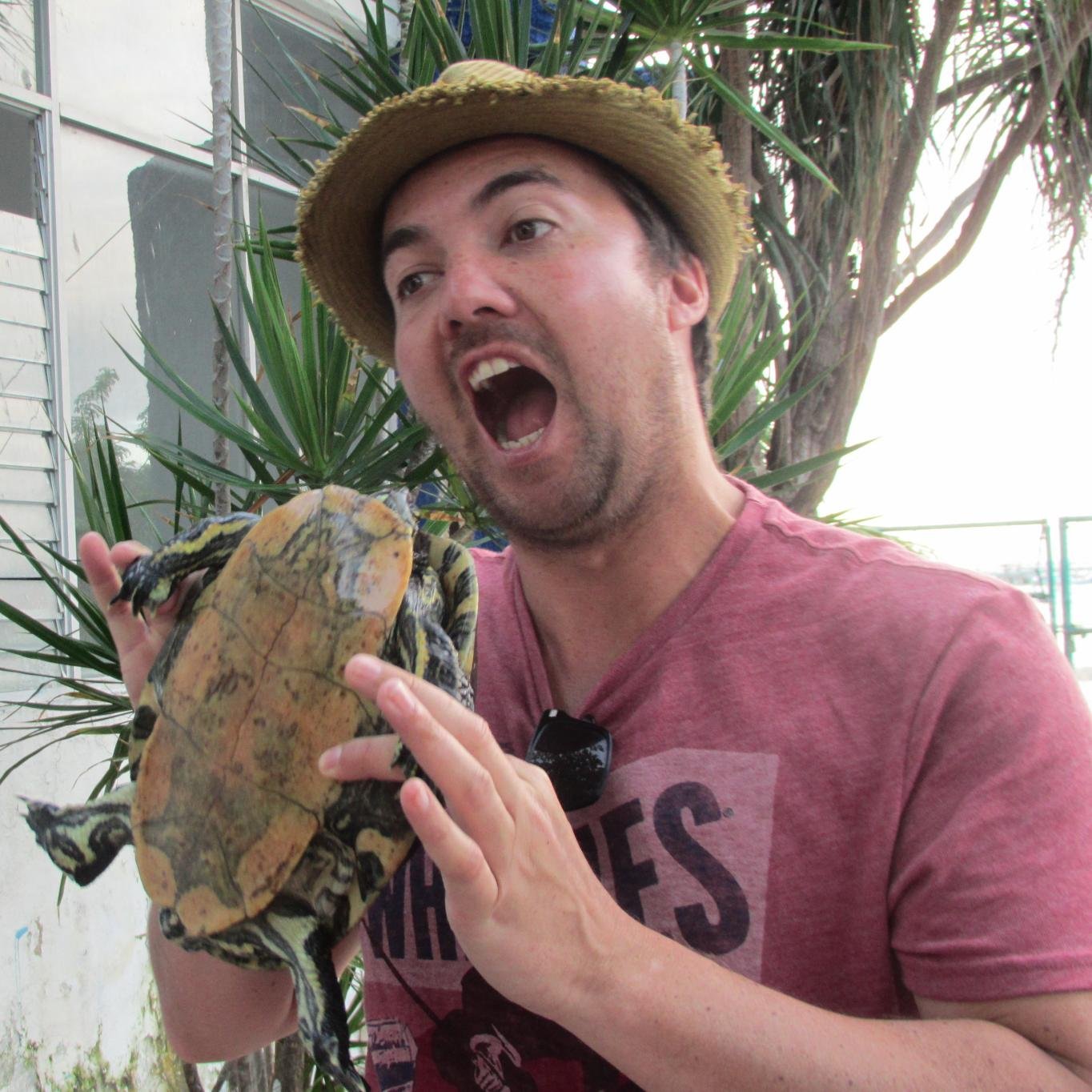 Media Tech, Boarder, Investor, Occasional Cyclist & New Dad