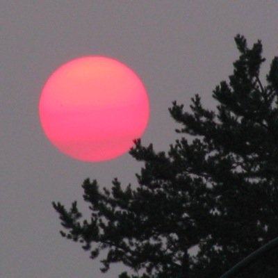 alikennedy14's profile picture. 