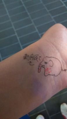 安安(｀･ω･´)ﾉ
這裏是來自台湾的AJ是也(ﾉ)'ω`(ヾ)♡日本♡台湾