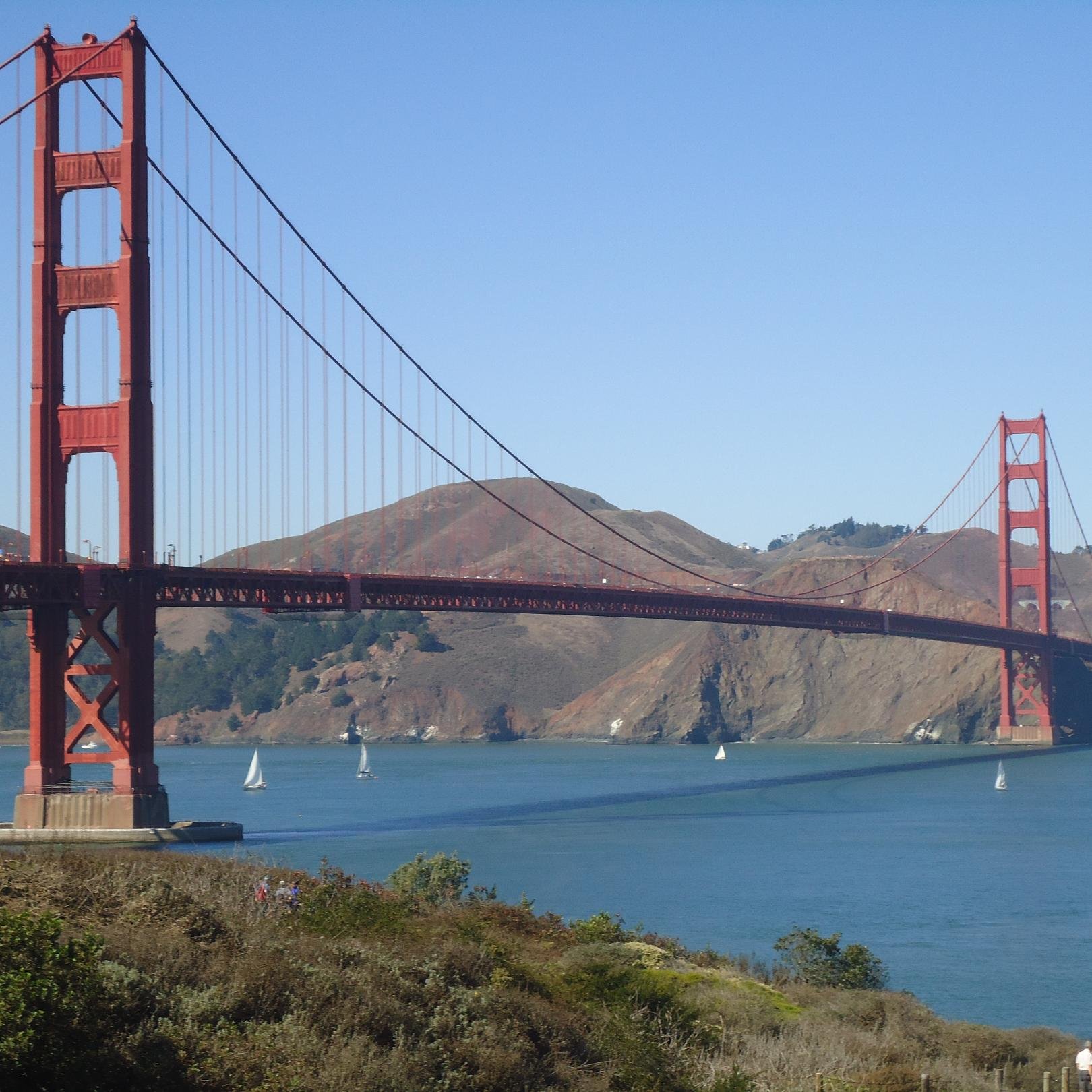 FranziskaCremer's profile picture. 