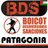 BDSPatagonia's profile image