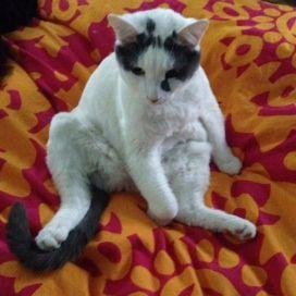 thePRlens's profile picture. 