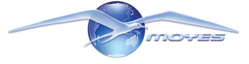 flymoyes's profile picture. 