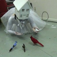 Amy DiGennaro (@amydigennaro) 's Twitter Profile