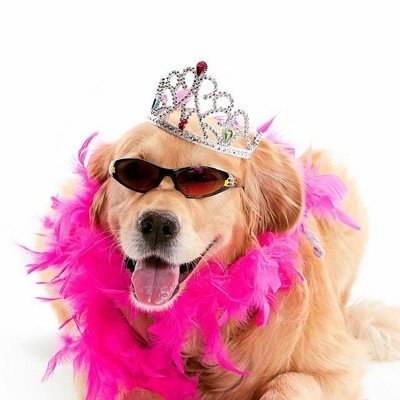 mcelroy_kate's profile picture. 