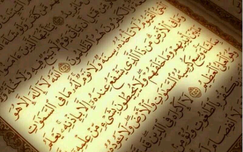 ‏‏‏‏‏‏‏‏‏‏‏استغفرالله واتووب اليه   اللهم ارزقني جنه الفردوس الاعلئ واحسن خاتمتي  اللهم اغفر لي وللمسلمين والمسلمات الاحياء منهم والاموات استغفرك ربي من جميع ال