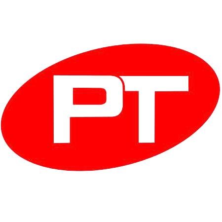 POLYTONER-Ведущий мировой производитель лазерных картриджей для печатающих устройств. Компания POLYTONER основана была в 2004 г.