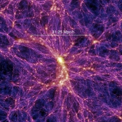 We are a way for the Cosmos to know itself
