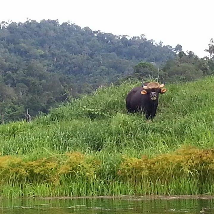 oldman_nnasouth's profile picture. คนในเครื่อเนชั่น