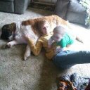 Tammy Dale - @1972fordgirl - Twitter