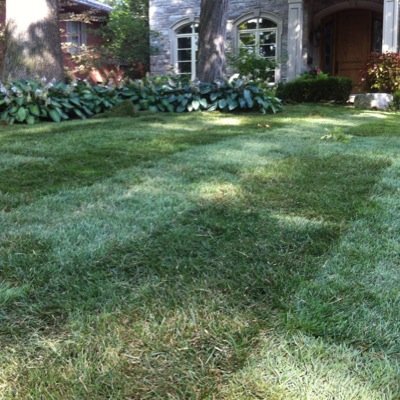 Residential.Commercial.Insured. Best Price Guaranteed! FREE QUOTE...647.823.3350 #landscaping #sod1 #gta #hamont