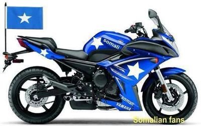 alihasan441's profile picture. 