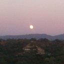 Luke Frey - @freyluke21 - Twitter