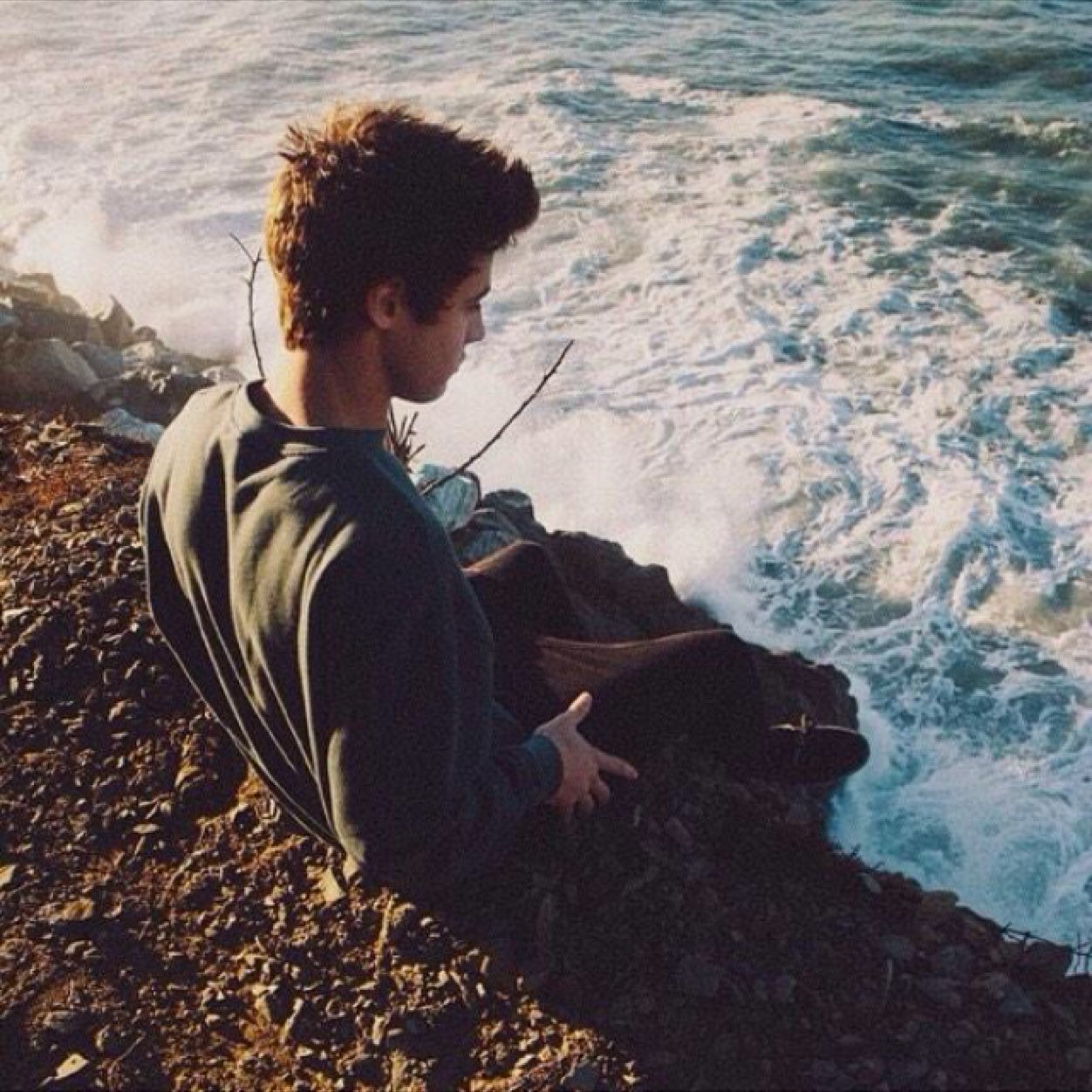 roses are red, the ocean is blue, hello cameron dallas, i want to bang you
