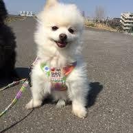 こんな私ですがよろしく・・・
