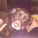 Tyler Triplett - @tylertrip12 - Twitter