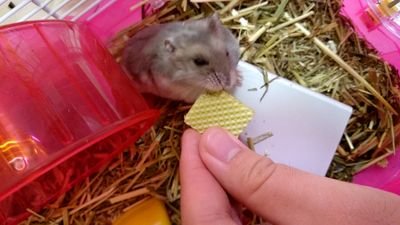 一時退会したのですが、また始めました！よろしくお願いします！