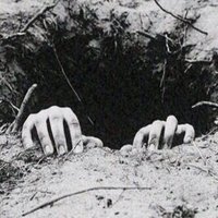 مها جاده من المدينه (@nonoatf) 's Twitter Profile