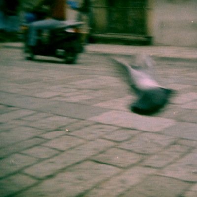 Toy cameras (holgas, dianas), polaroids, pinhole fan. Low res photography.
