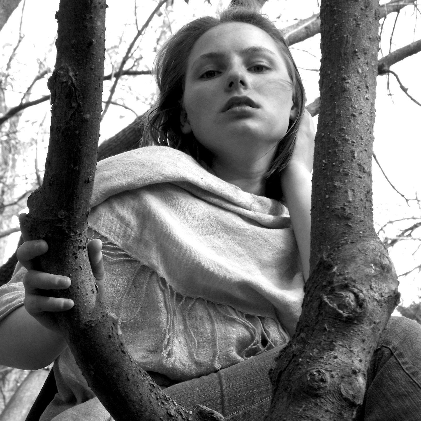 Carol Gibbon (Carol_Gibbon) Twitter