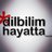 dilbilimhayatta's profile image