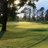 BallaratGolf's profile image