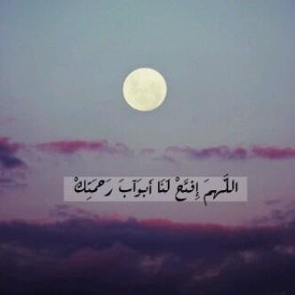 salhaalsultan's profile picture. 