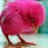 PolliRubi's profile image