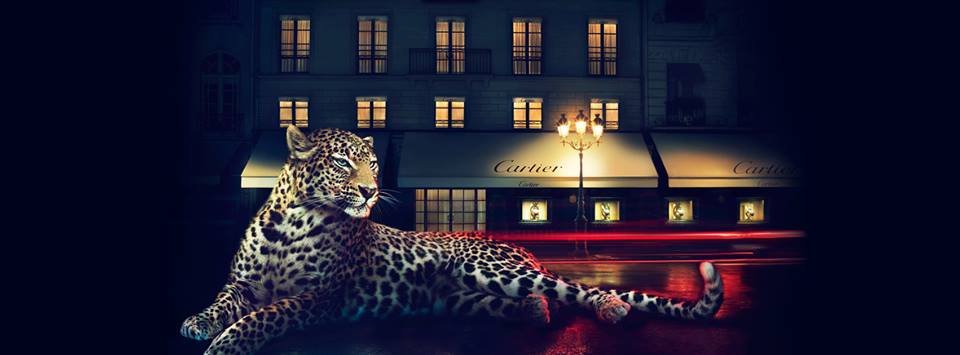 TareqAlwerfaly's profile picture. 