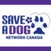 SaveADogNetworkCan (@saveadognetwork) Twitter profile photo
