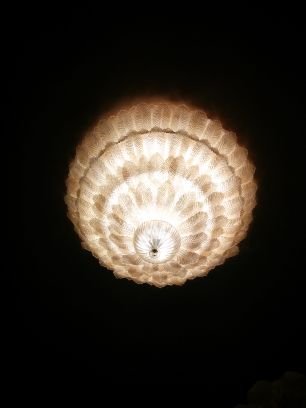 • Fi•