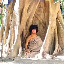 JCitraj's profile picture. Will not adhere to #politicalcorrectness nor to #standardizedthought , I expose #kuffarophobia