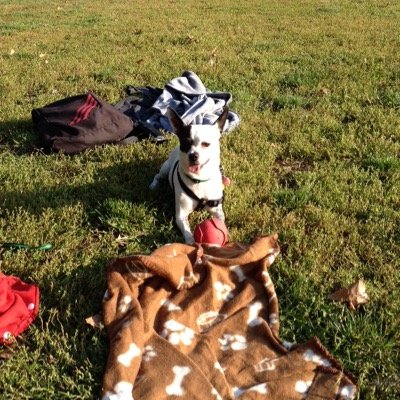 DudsMnika's profile picture. 