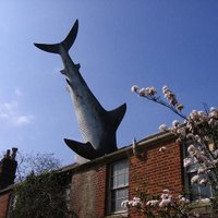 Ο καντουνομετρης! (@gnapp77) 's Twitter Profile