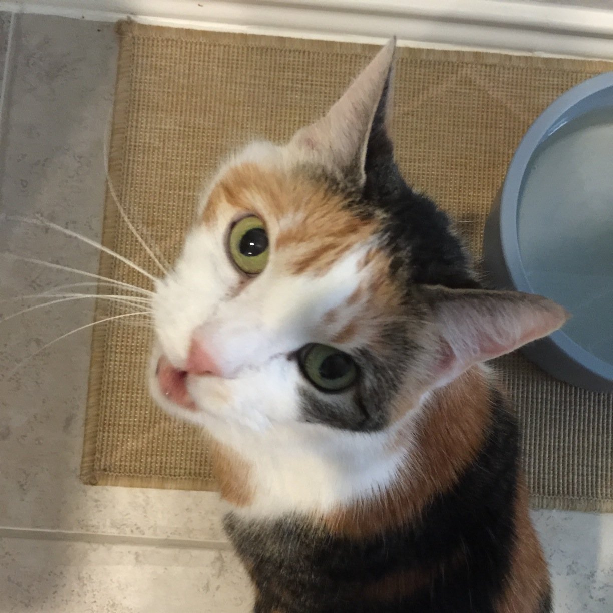 dreamflowerdude's profile picture. Gay guy who loves Rufus Wainwright, Lady Gaga, writing and the NFL =) LMFAO. I'm as sweet as a jellybean. disclaimer: i'm a tweetaholic