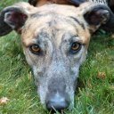 Bruce Caplin - @BruceCaplin - Twitter