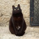 Jose Luis Salva - @novedadmallorca - Twitter