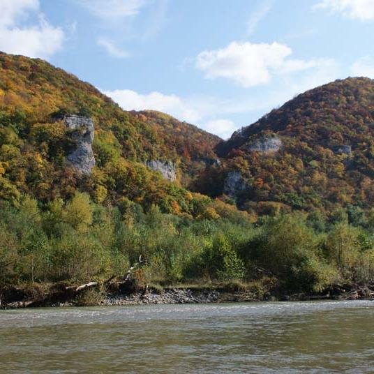 gizn_s's profile picture. 