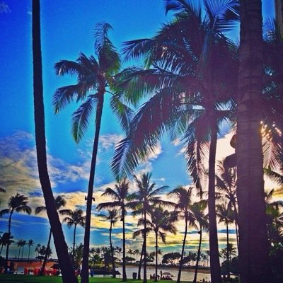 eslhawaii's profile picture. 