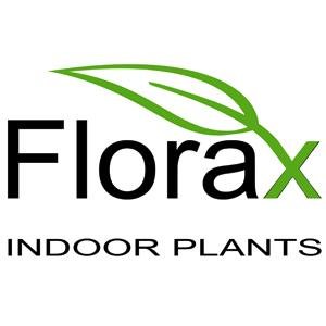 FloraxPlants's profile picture. Florax is a local Christchurch business providing indoor plant hire, sales and maintenance to Businesses and Homes. Permanent and short term hire available.