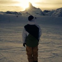 The Big Dog (@matt3689) 's Twitter Profile