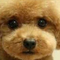 お笑いと音楽とiPhoneが大好きです。
Twitter初心者ですが宜しくお願いします
